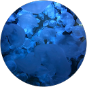 Sophie P. profile picture